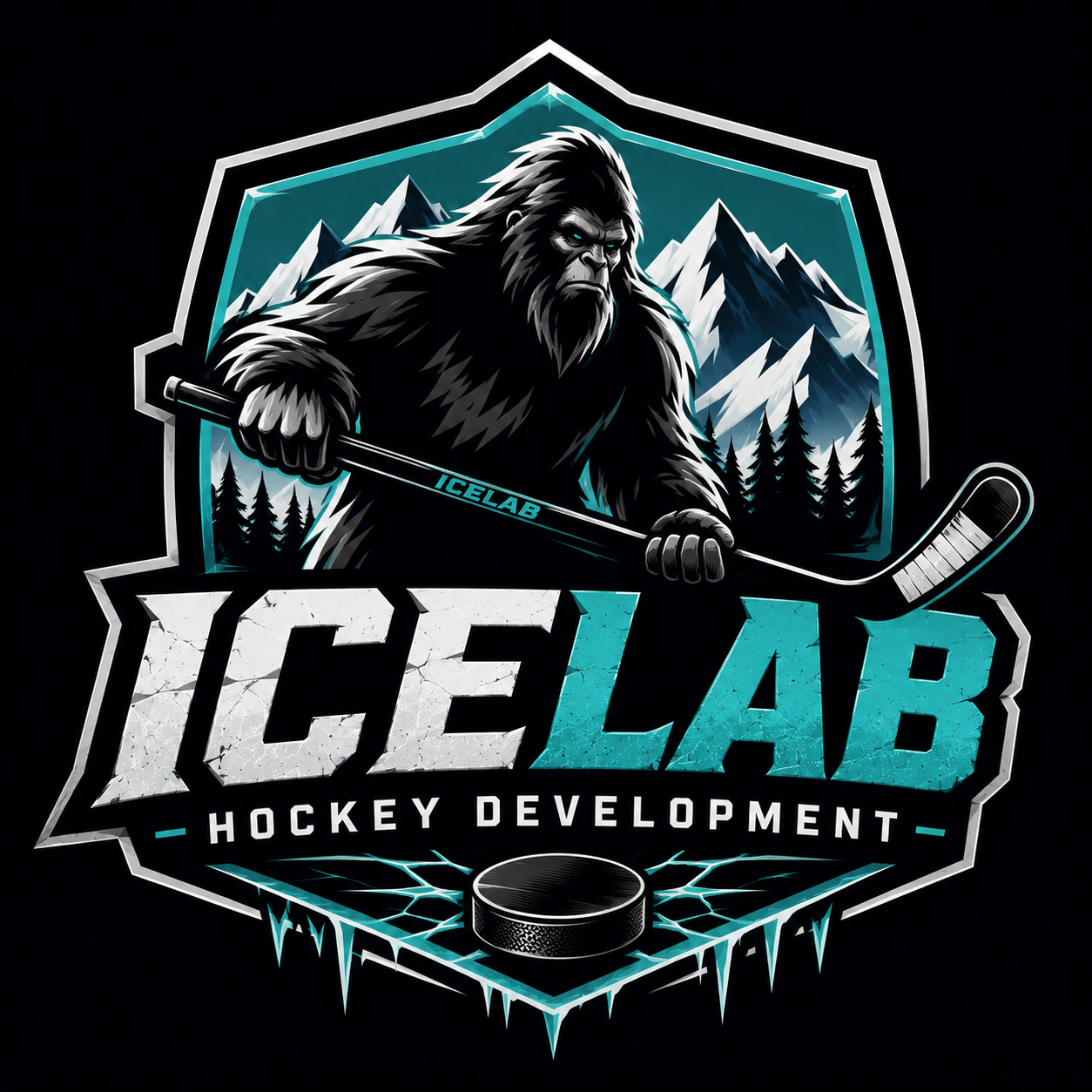 ICELAB HOCKEY DEVELOPMENT